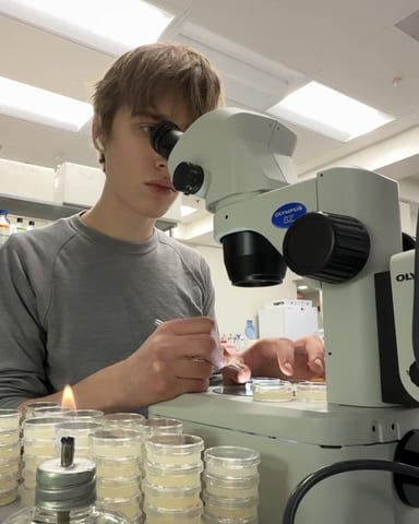 Evan Morris looking into a stereo microscope at a lab bench, with stacks of culture plates and a lit alcohol lamp in front of him